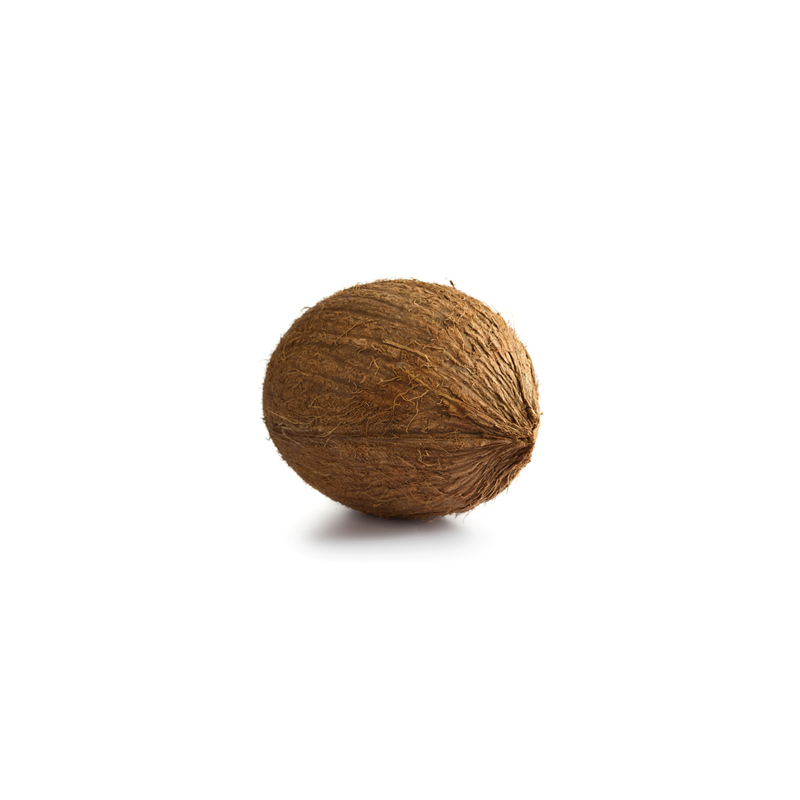 Coconut