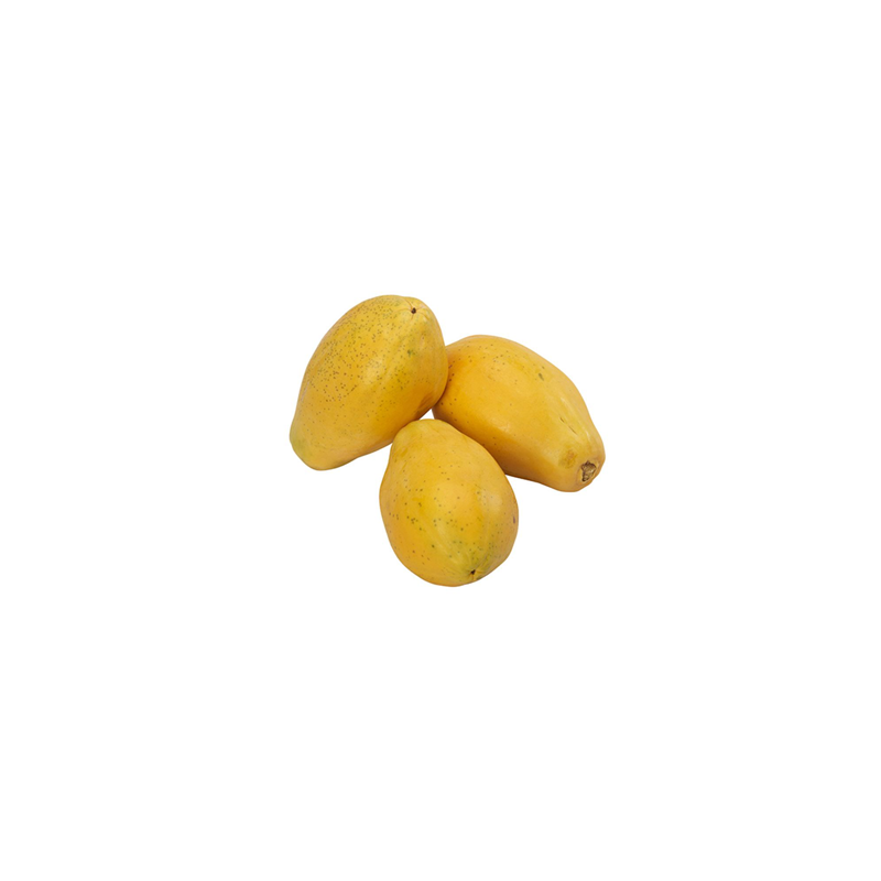 Golden Papaya Golden Papaya
