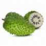 Soursop