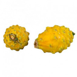 Yellow Pitaya with White Flesh