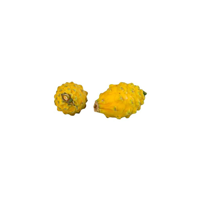 Yellow Pitaya with White Flesh