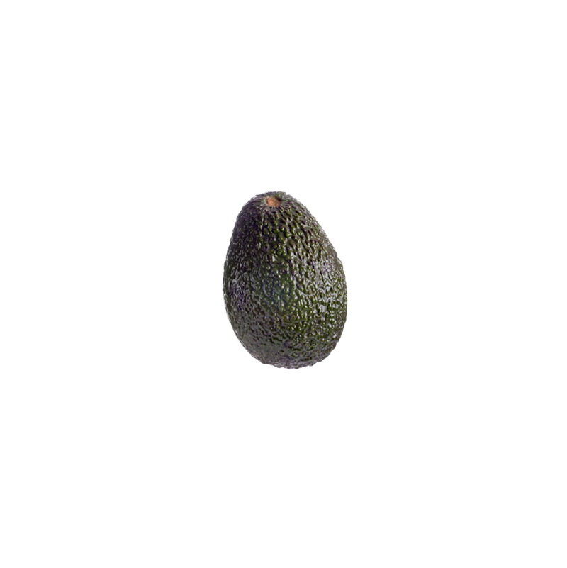 Avocado Hass