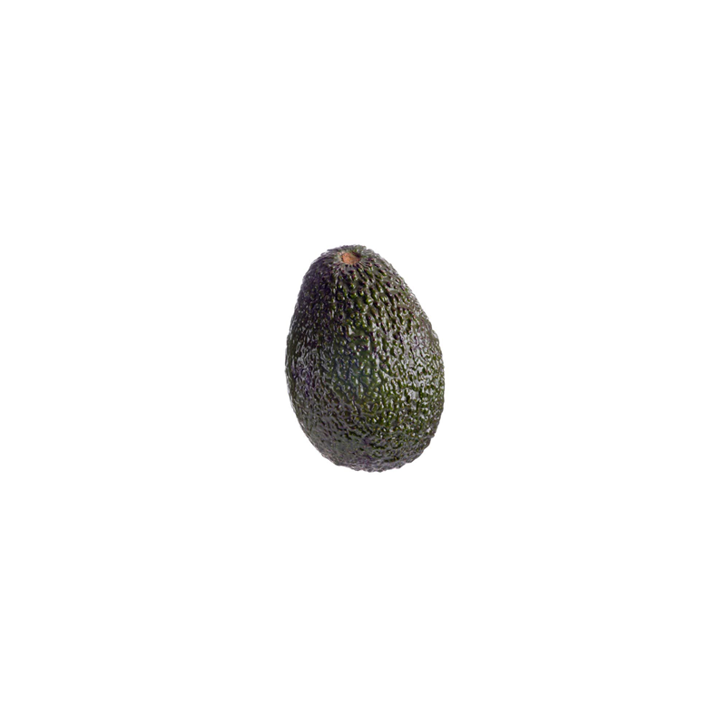 Avocado Hass