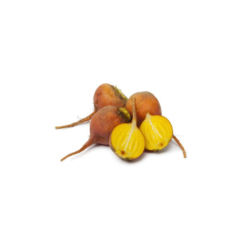 Yellow Beetroot Baby