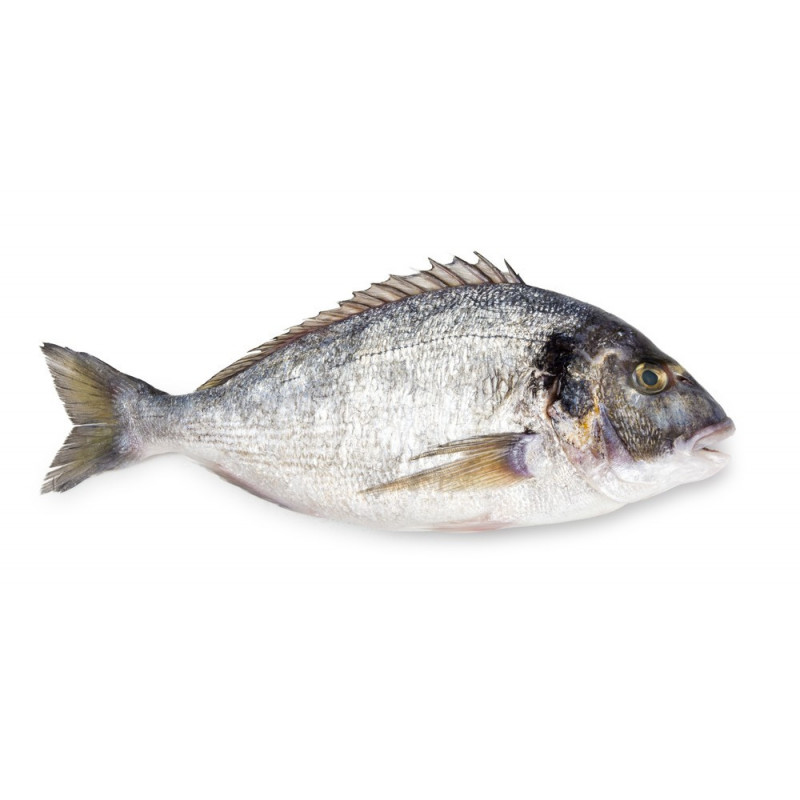 Organic Farmed Seabream