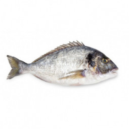 Farmed Seabream