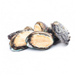 Farmed Abalone