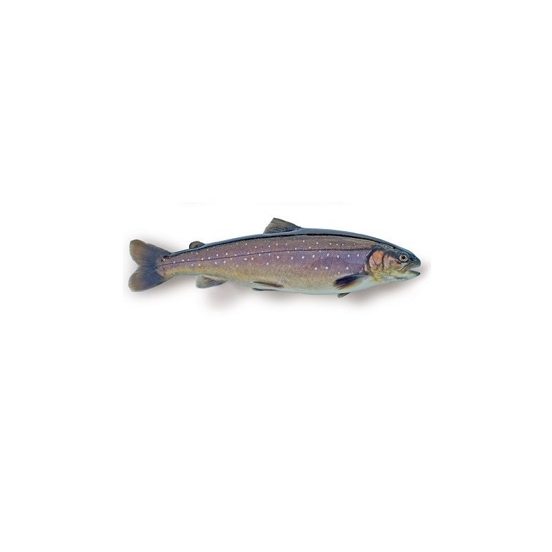 Farmed Arctic Char Farmed Arctic Char