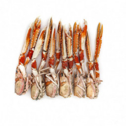 Tête de Langoustine