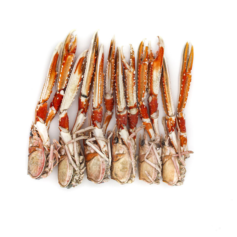 Langoustine Head