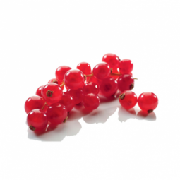 Red currants