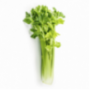 Celery