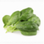 Spinach