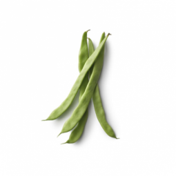 Flat Green Bean