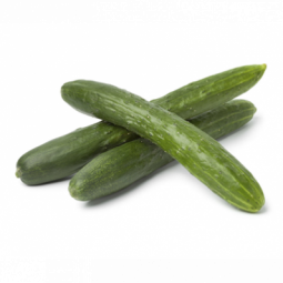 Cucumber