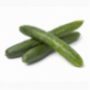 Cucumber