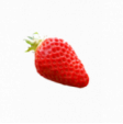 Clery strawberry