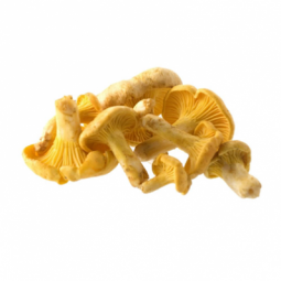 Girolle