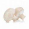 White Paris Mushroom Button