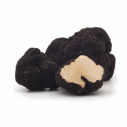 Black Summer Truffle