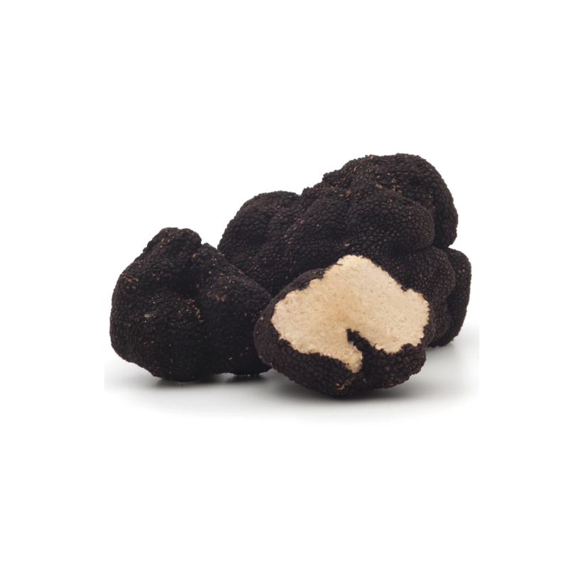 Black Summer Truffle