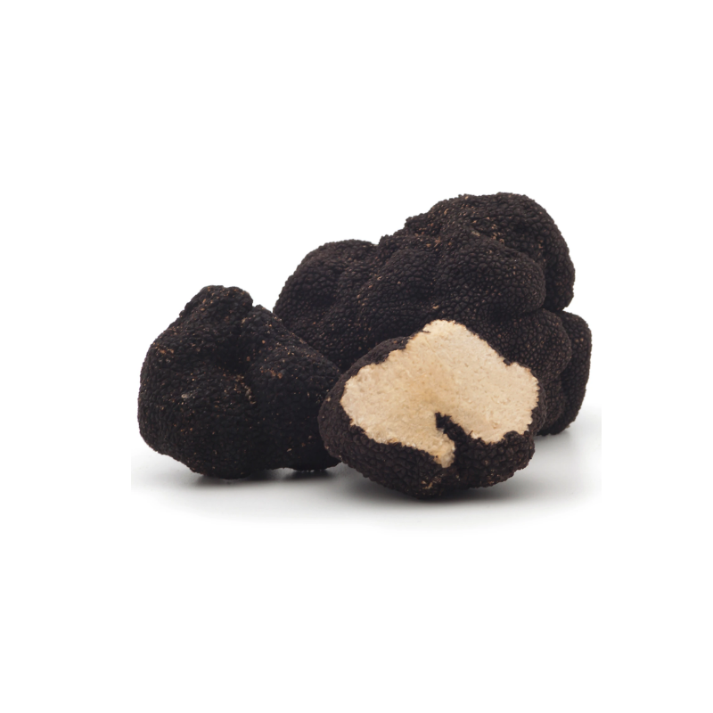 Black Summer Truffle