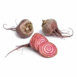 Chioggia Beetroot Baby