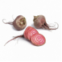 Chioggia Beetroot Baby