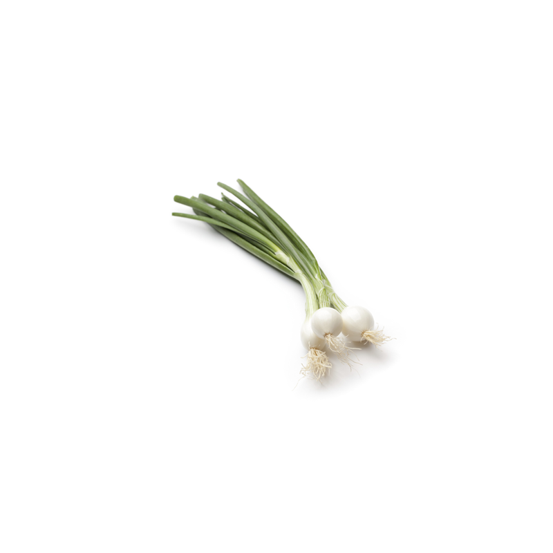 Spring onion