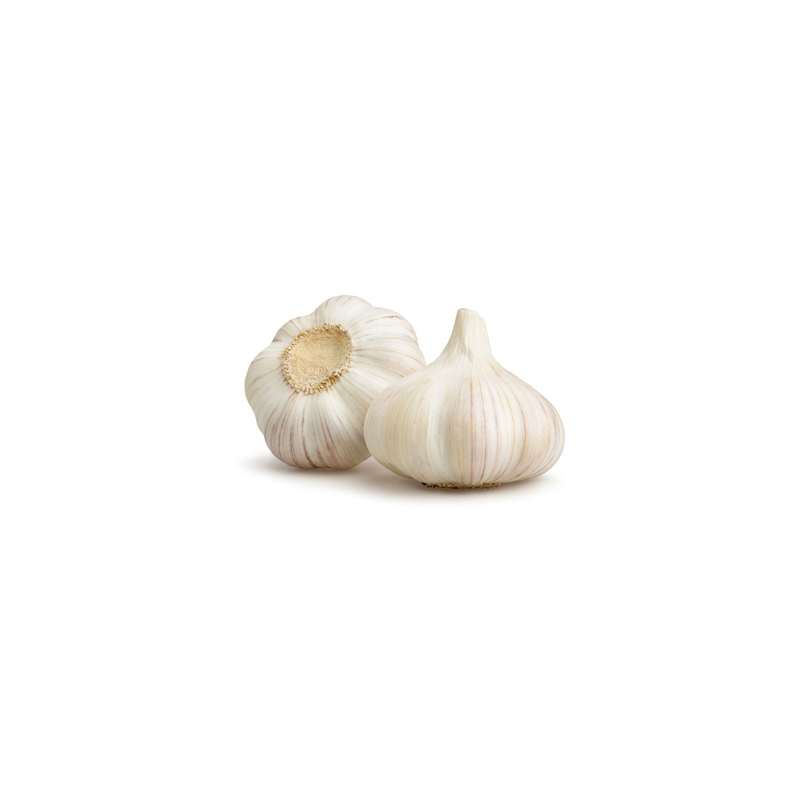 Garlic White