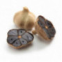 Black Garlic