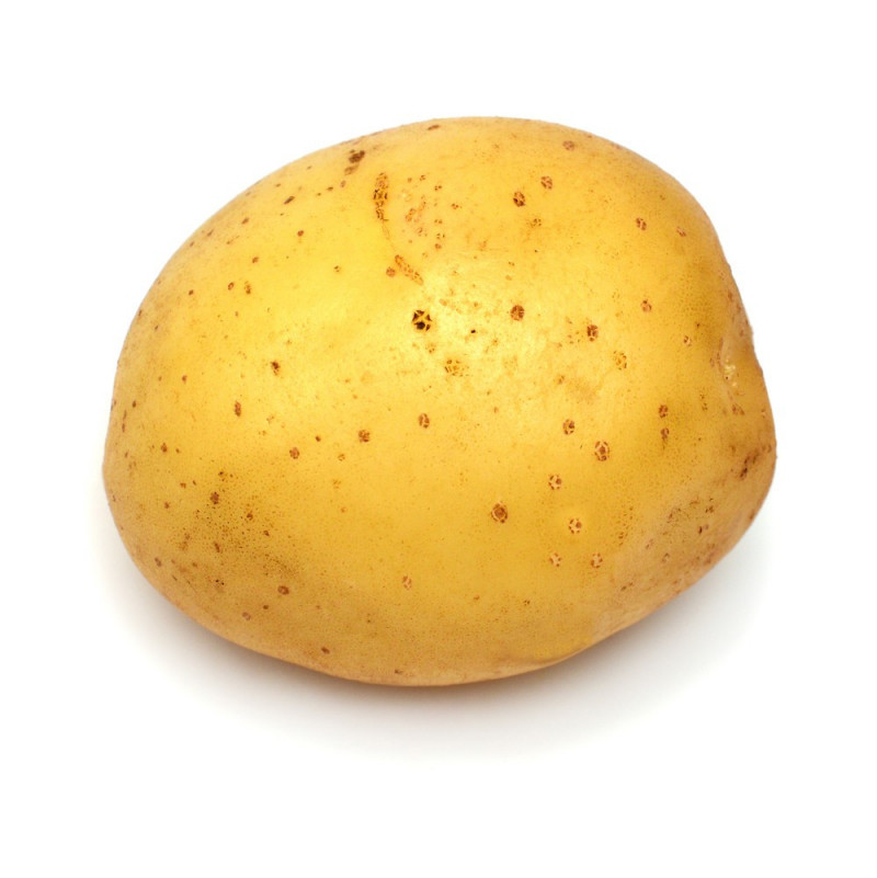 Potato Noirmoutier