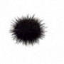 Brittanian Sea Urchins