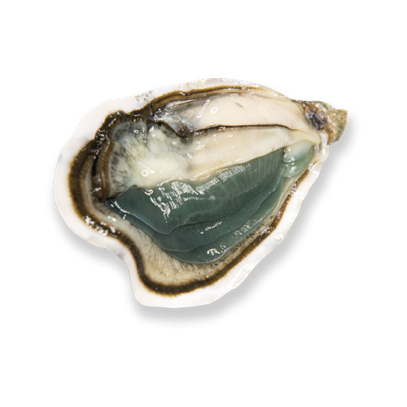 La Sublime Oyster - GEAY La Sublime Oyster - GEAY