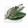 Mixed Herbs Bouquet Garni