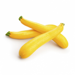 Zucchini Long Yellow