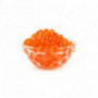 Trout Roe