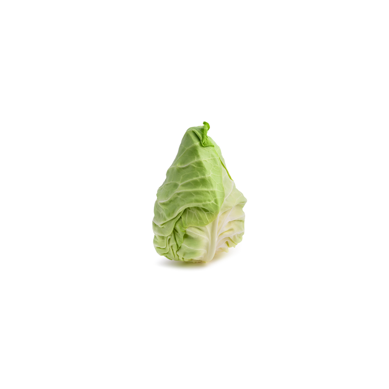 Pointed Cabbage