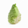 Pointed Cabbage