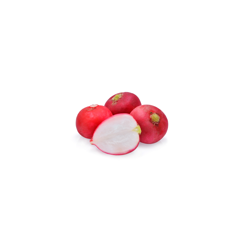 Radish Red Round