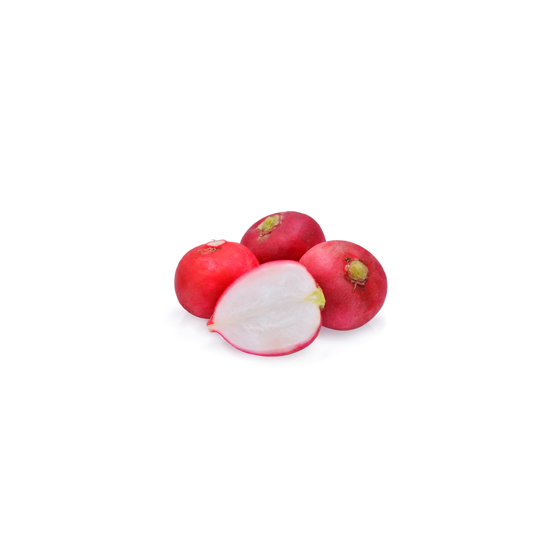 Radish Red Round