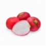 Radish Red Round