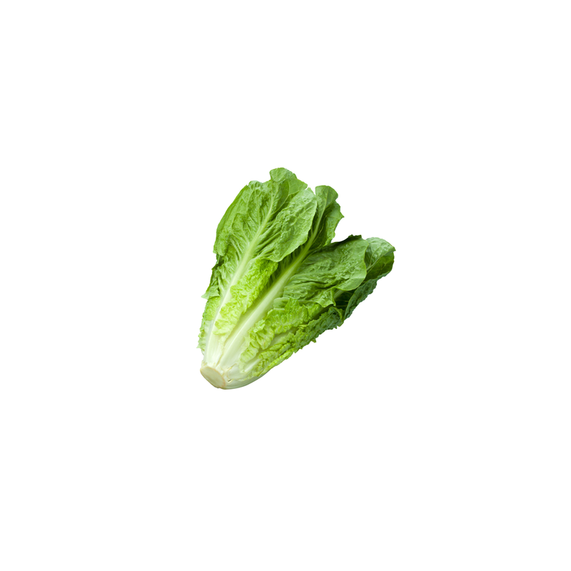 Romaine Lettuce Heart