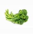 Broccollini