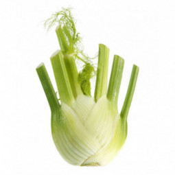 Fennel Extra