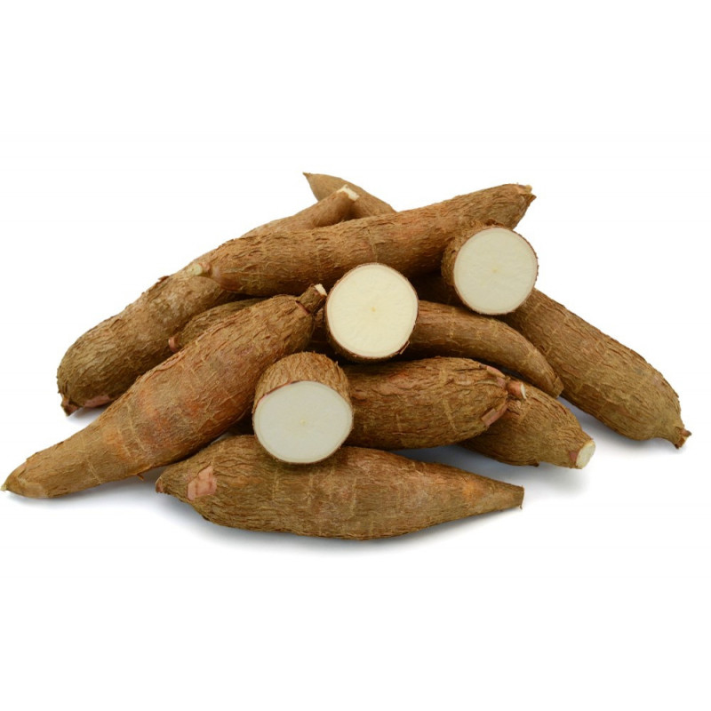 Cassava Root