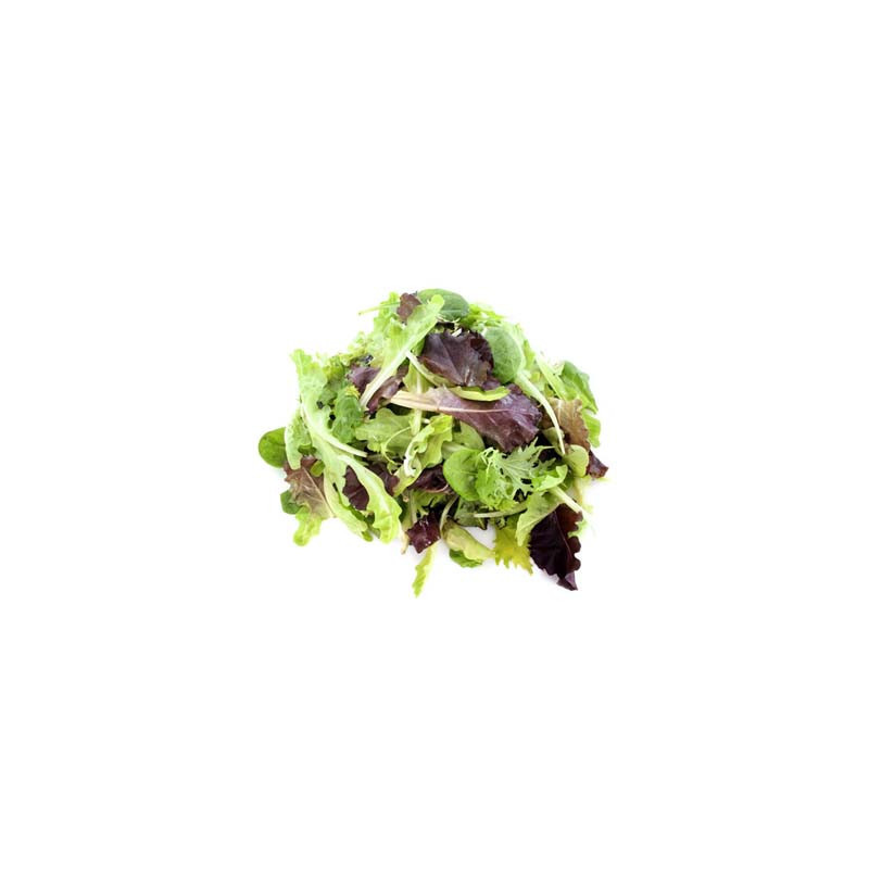 Mesclun Mixed Salad