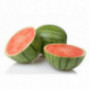 Seedless Watermelon