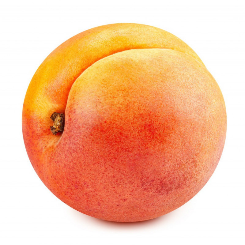 Apricot