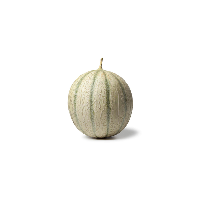 Melon Philibon